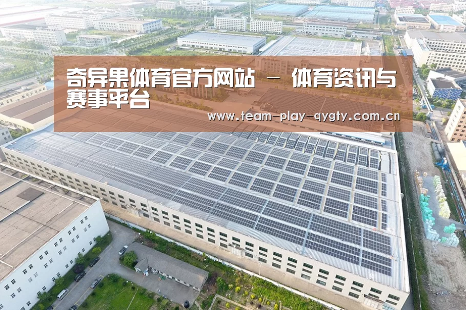 案例展示二