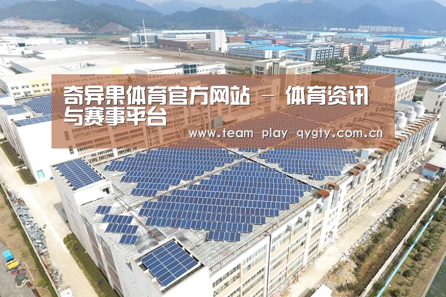 案例展示三