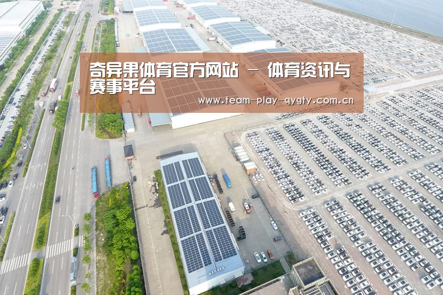 案例展示一