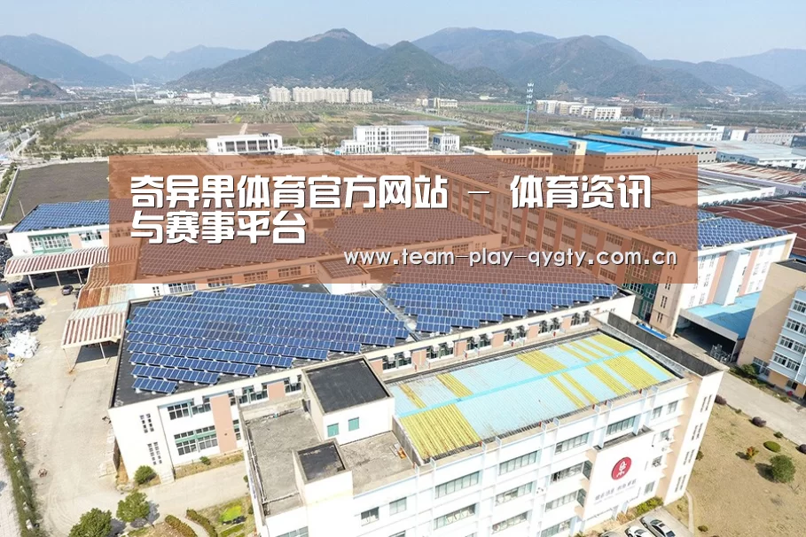 案例展示三