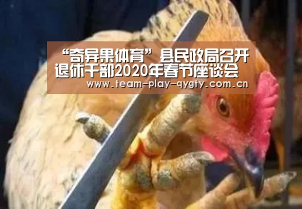 “奇异果体育”县民政局召开退休干部2020年春节座谈会(图1) 奇异果体育官方网站
